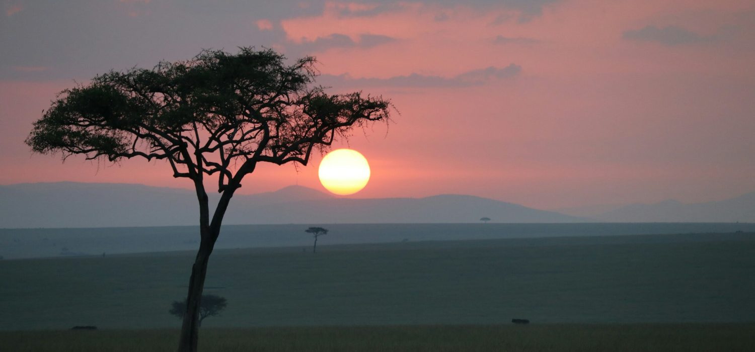 ed15af81a95d75940a0e49e22695ebf77953edf5